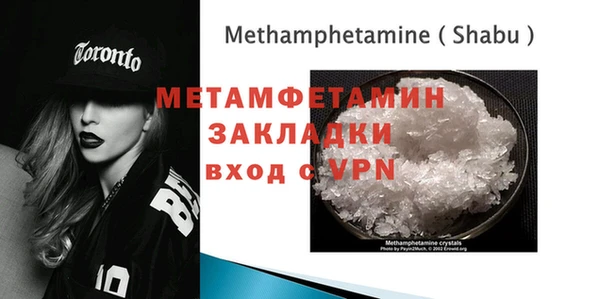 ПСИЛОЦИБИНОВЫЕ ГРИБЫ Вяземский