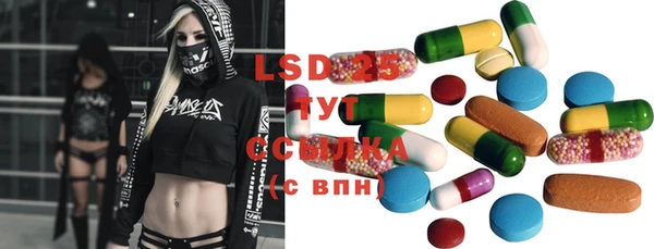ПСИЛОЦИБИНОВЫЕ ГРИБЫ Вяземский
