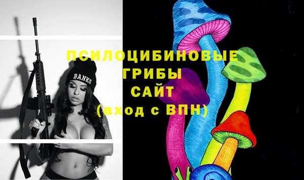 МДПВ Володарск