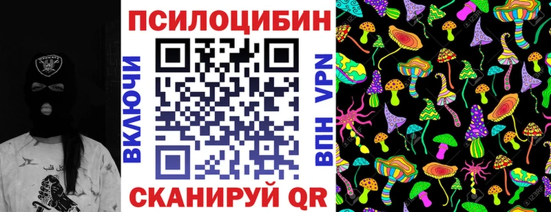 закладки  Зарайск  ссылка на мегу ССЫЛКА  Псилоцибиновые грибы Psilocybe 